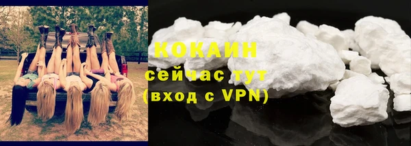 кокс Ельня