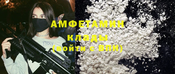 кокс Ельня