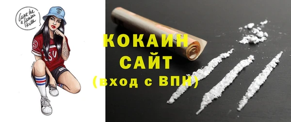 кокс Ельня