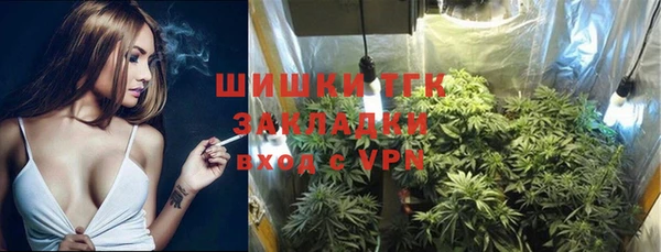 кокс Ельня