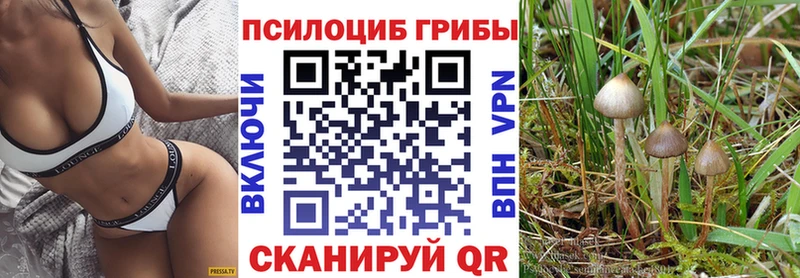 продажа наркотиков  Ипатово  Псилоцибиновые грибы Magic Shrooms 