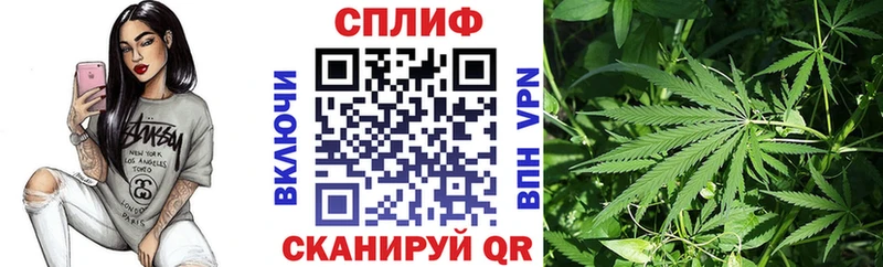 Шишки марихуана индика  blacksprut tor  Ипатово 